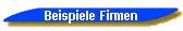  Beispiele Firmen 